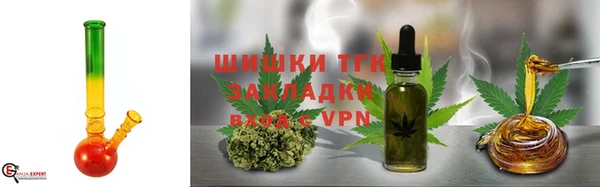 ГАЛЛЮЦИНОГЕННЫЕ ГРИБЫ Алзамай