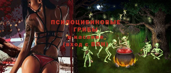 синтетический гашиш Алексеевка