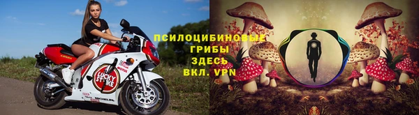 синтетический гашиш Алексеевка