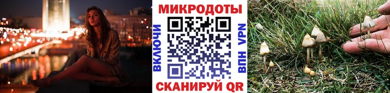 дарк нет наркотические препараты  Среднеколымск  Галлюциногенные грибы Magic Shrooms  купить наркоту 